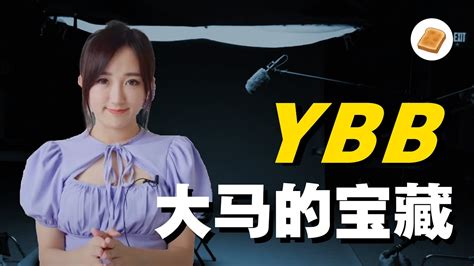 yyybbb vip|用户登录 .